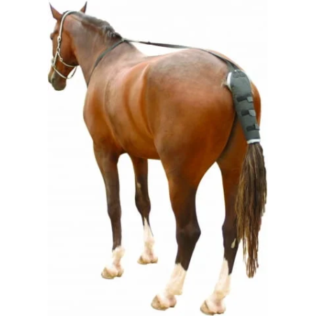 Protezione contro le unghie KENTAUR TailGuard