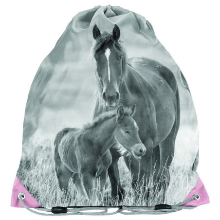 Sac pentru încălțăminte PASO Horse 34x39