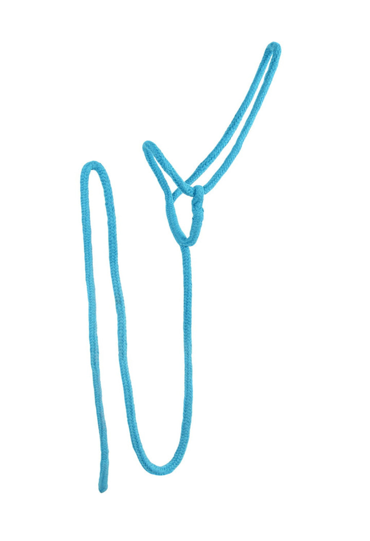 Cavezza QHP LeadHalter con lunghina per guidare