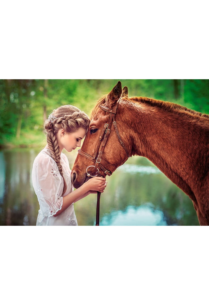 Puzzle CASTORLAND Great Friends 500 elements