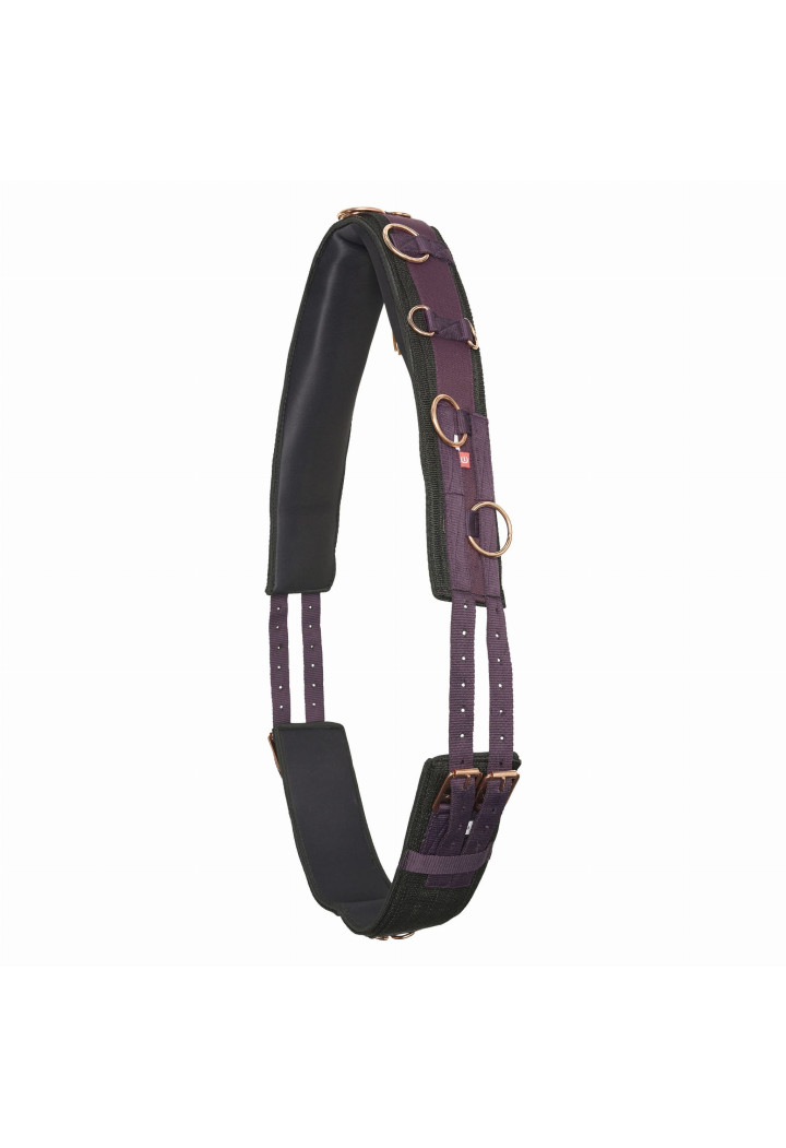 Imperial Riding Deluxe Extra Gurtband