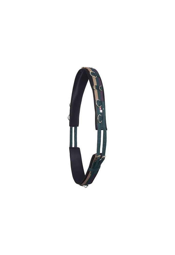 Imperial Riding Deluxe Extra Loncing Belt