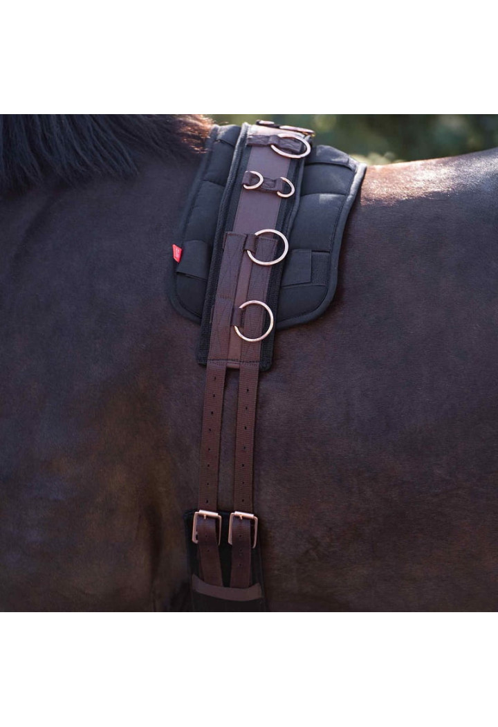 Imperial Riding Deluxe Extra Loncing Belt