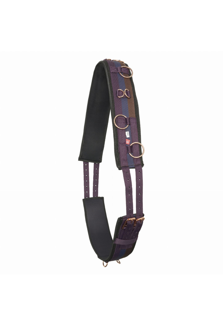 Cintura di avanzamento Imperial Riding Deluxe Extra