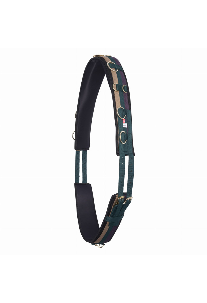 Imperial Riding Deluxe Extra Loncing Belt