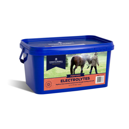 Elektrolity D&H Electrolytes 2kg