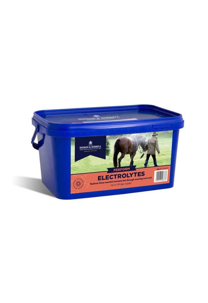 Electroliți D&H Electroliți 2kg