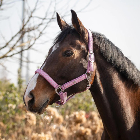 Headcollar QHP Lyvia