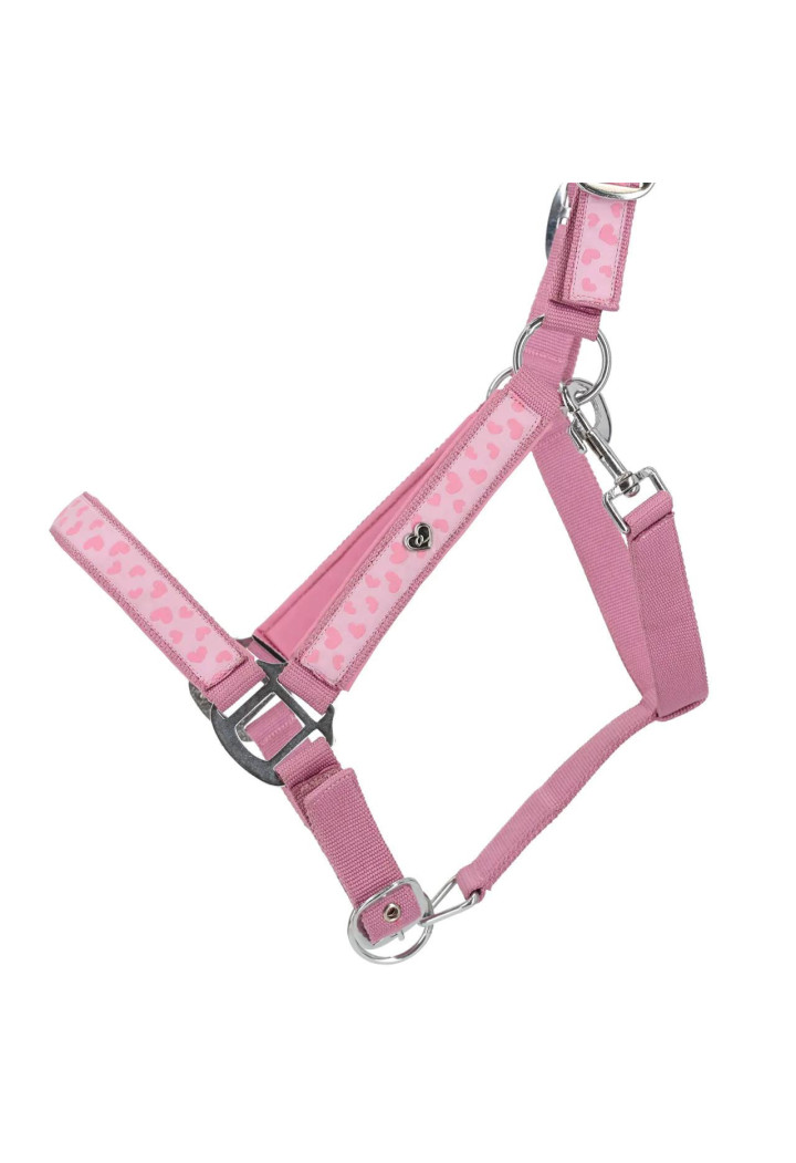 Headcollar QHP Lyvia