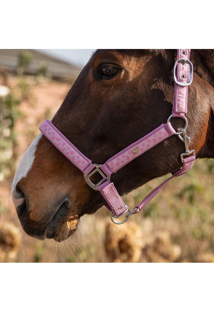 Headcollar QHP Lyvia