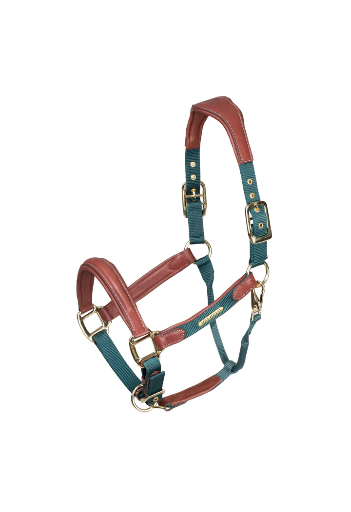Căpăstru piele SHIRES Velociti Lusso