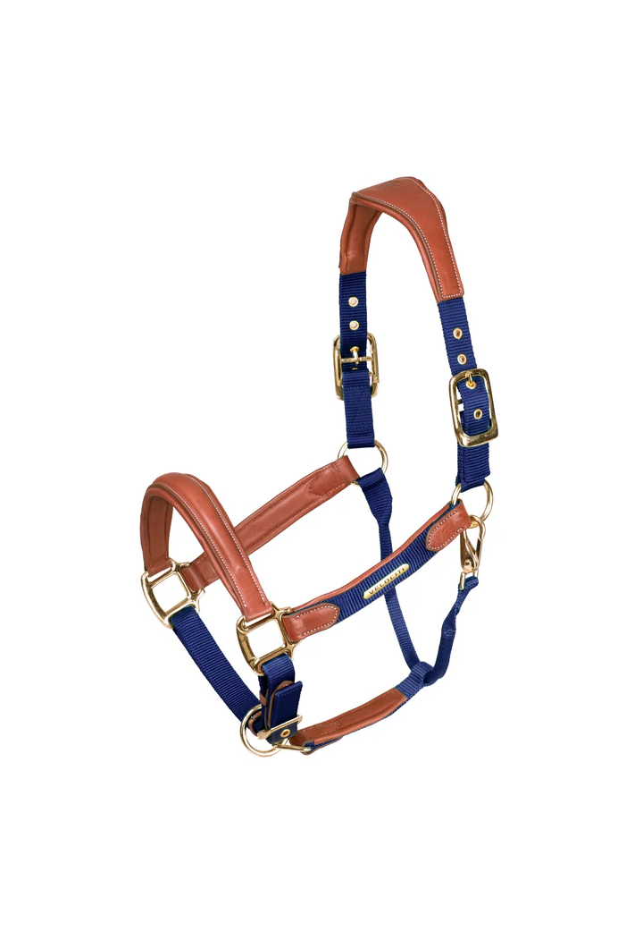 Cavezza pelle SHIRES Velociti Lusso