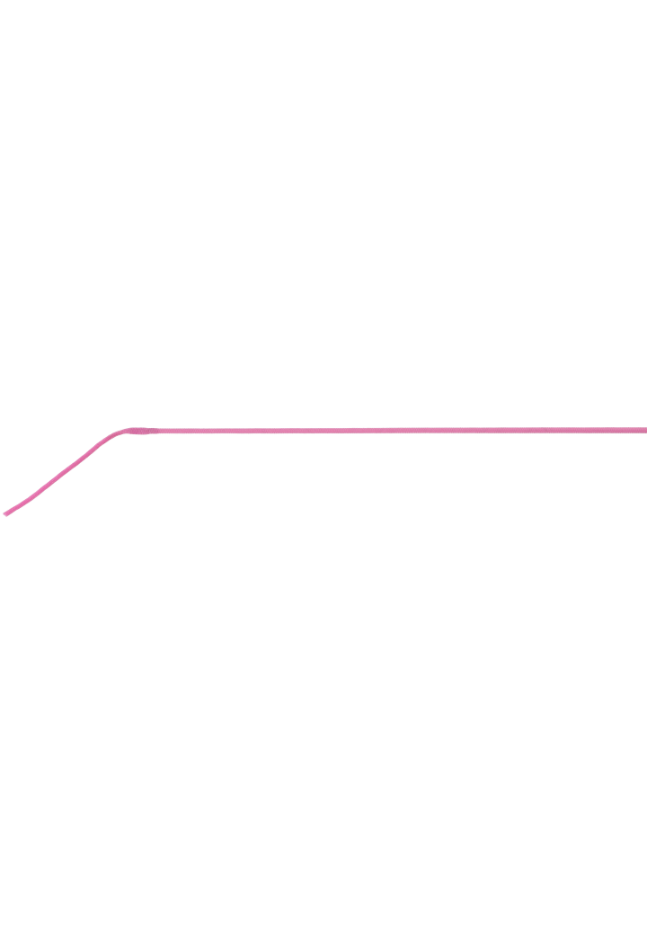 Frusta da dressage WHIP&GO Strassy