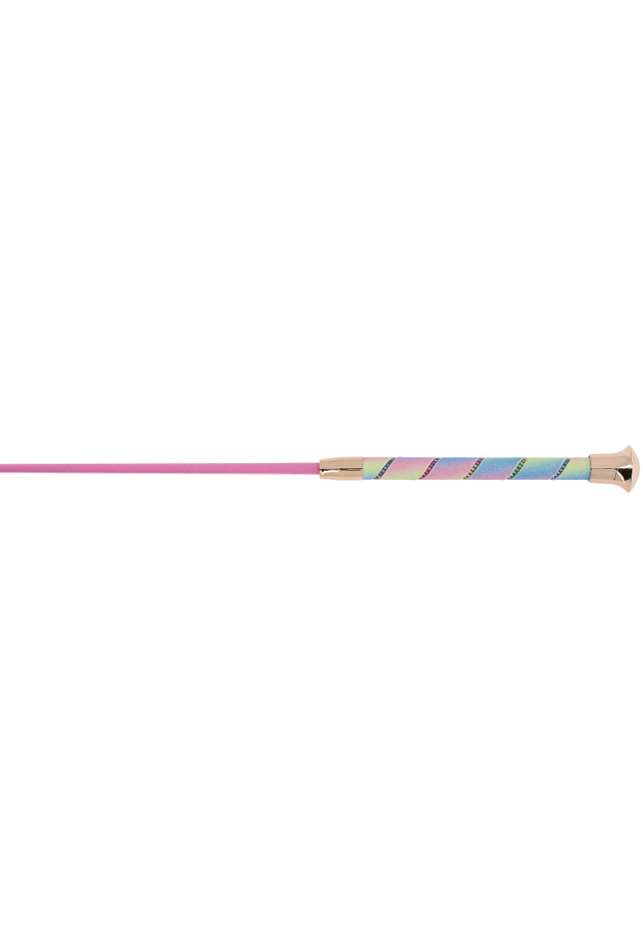 Dressage whip WHIP&GO Strassy