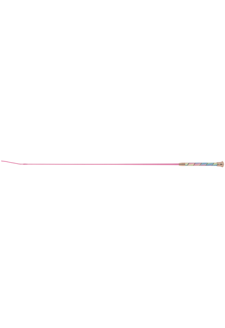 Dressurgerte WHIP&GO Strassy