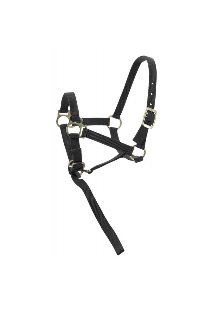 Ohlávka EKKIA ohlávka + olovnatý olej