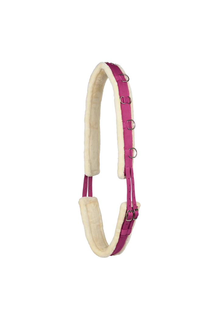 HORZE Lunging Gurtband