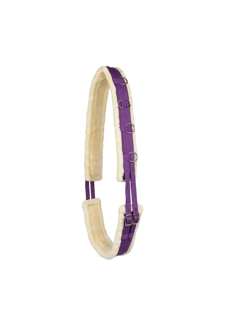 Centura HORZE Lunging