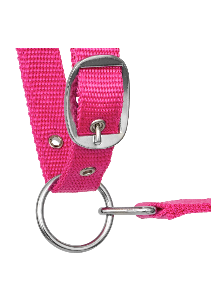Căpăstru START ILoveMyHorse ranipink