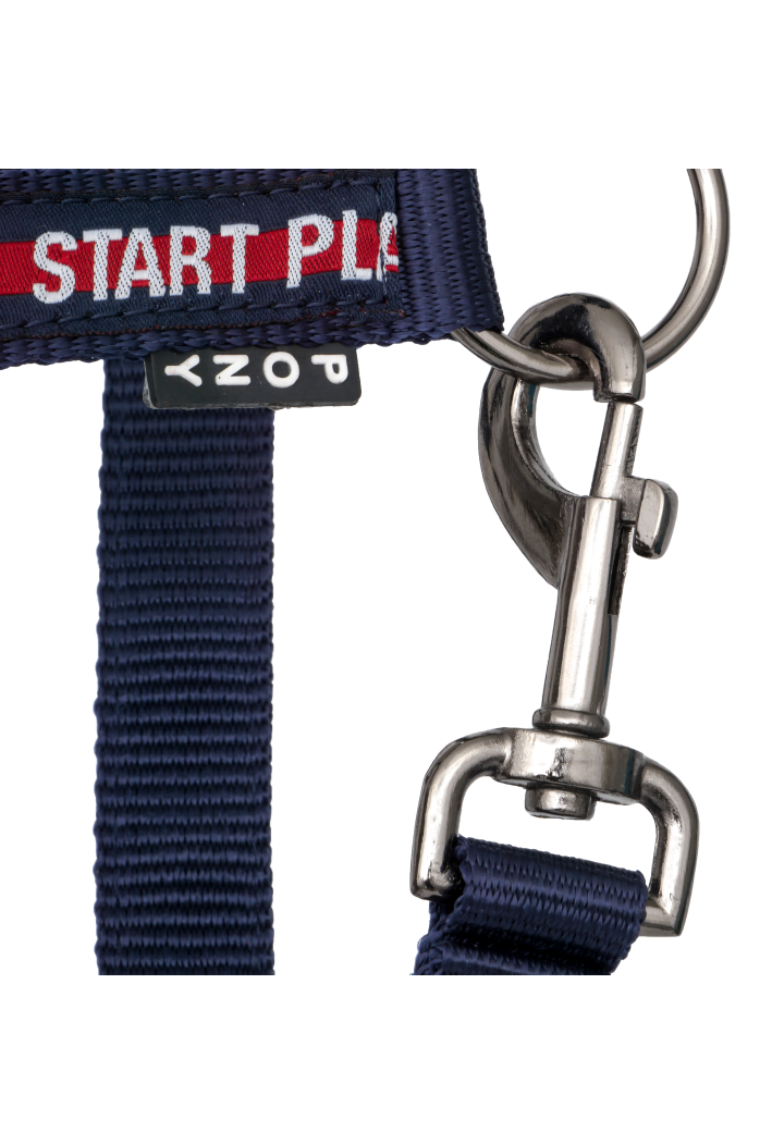 Căpăstru START StartPlay