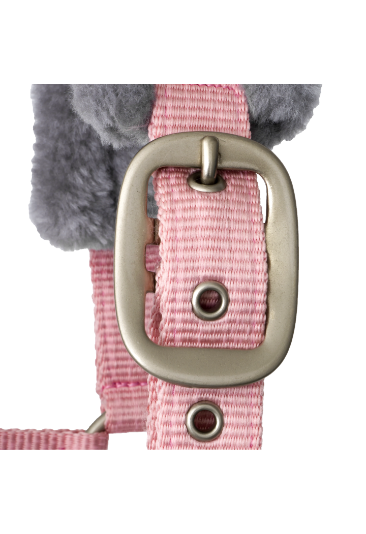 Headcollar START Elegance
