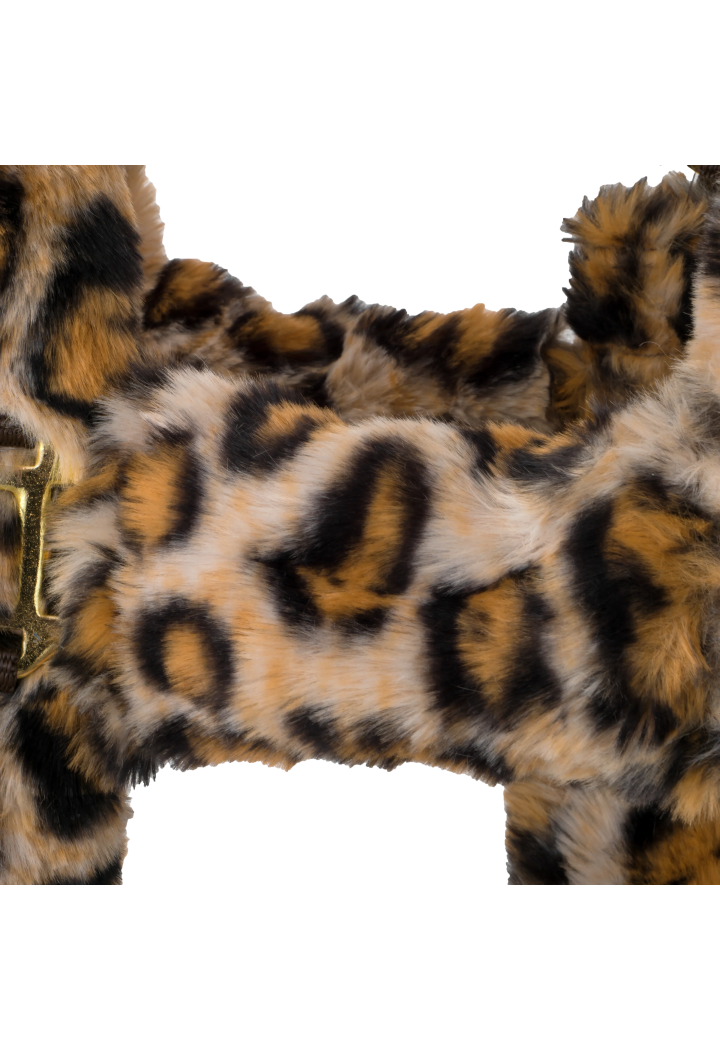 Căpăstru START TeddyLeopard