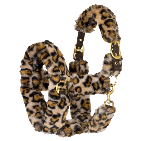 Cavezza START TeddyLeopard
