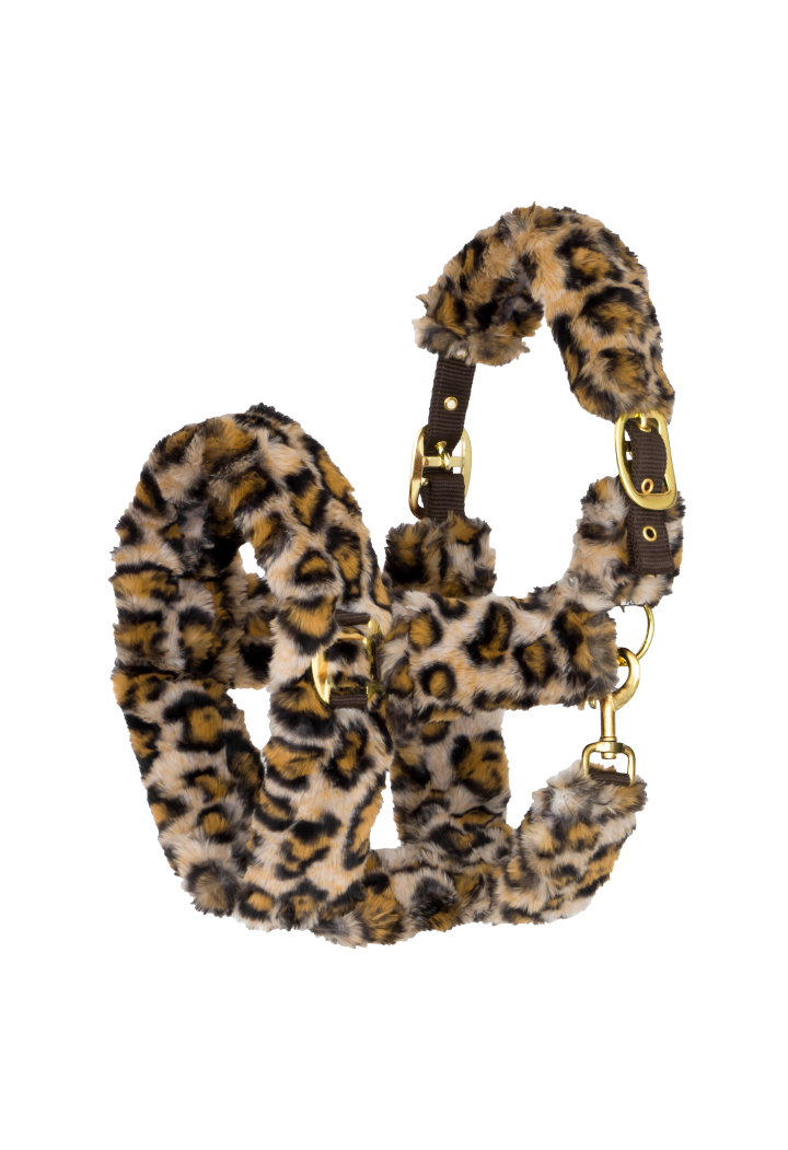 Halfter START TeddyLeopard