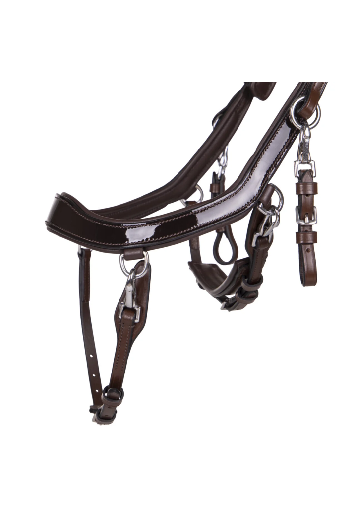 Bridle PresTEQ FaySport Shine