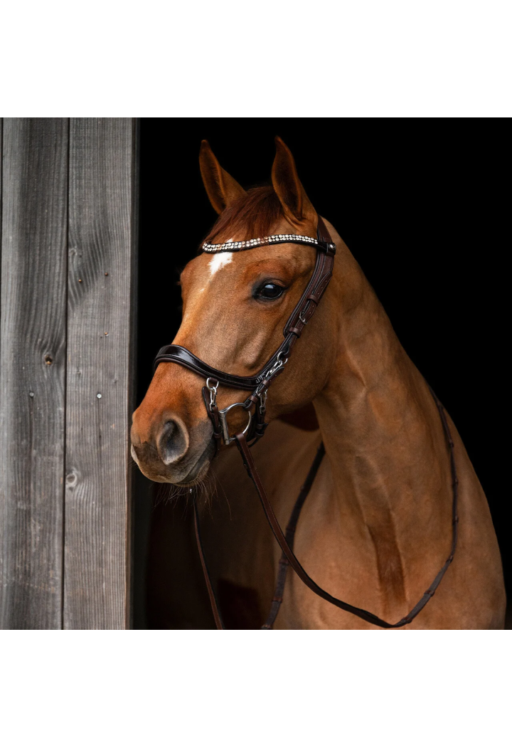 Bridle PresTEQ FaySport Shine