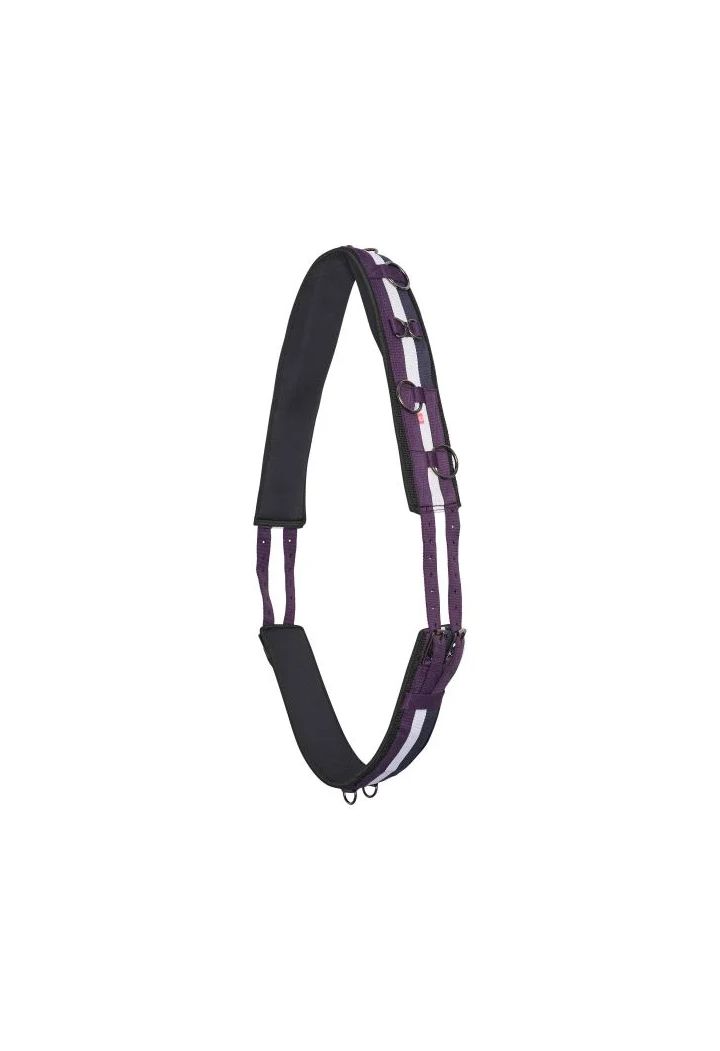Imperial Riding Deluxe Extra Loncing Belt