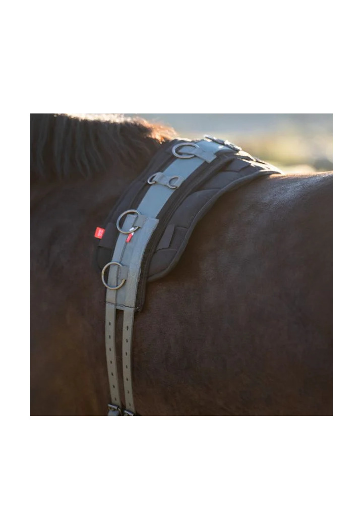 Imperial Riding Deluxe Extra Loncing Belt