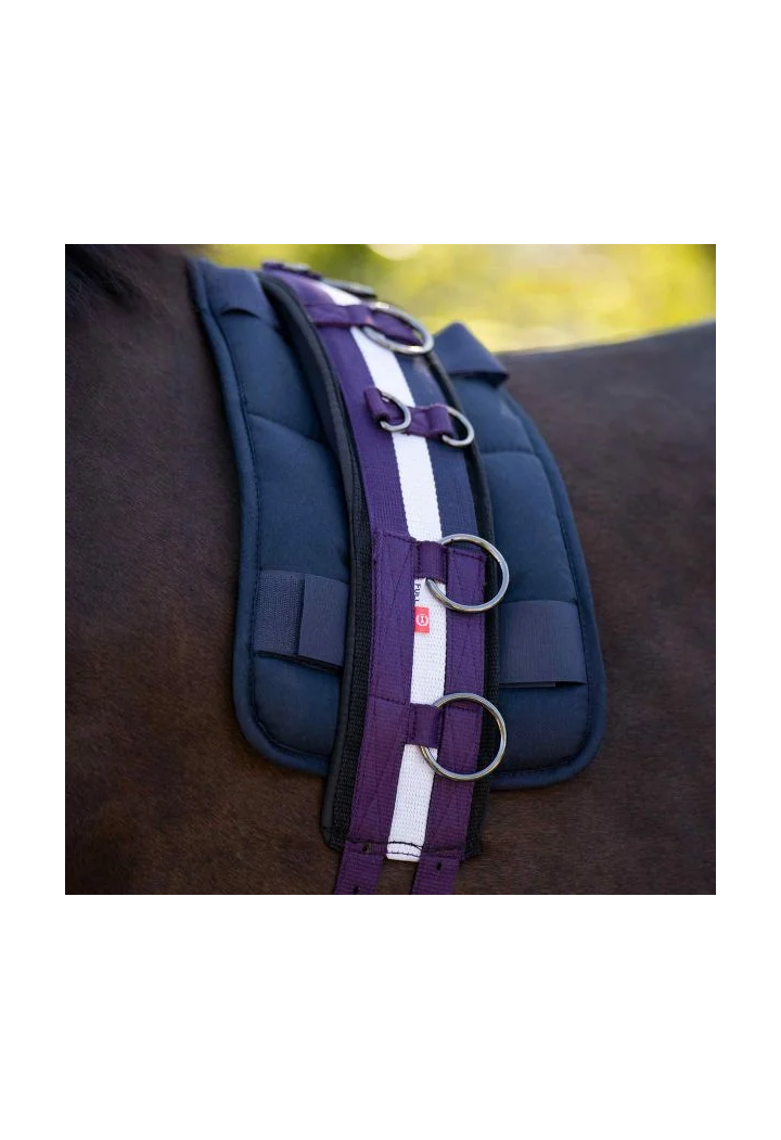 Imperial Riding Deluxe Extra Loncing Belt