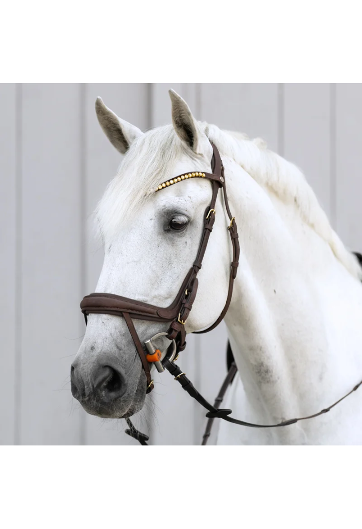 Bridle KAVALKADE Caliano