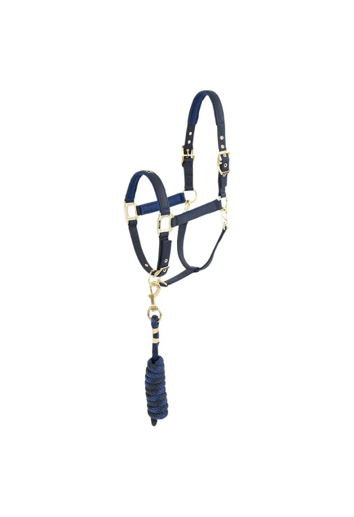 Halfter ed Führstrick ANKY Halter und Lead 25 SS