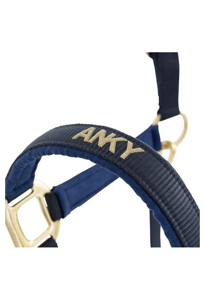 Halfter ed Führstrick ANKY Halter und Lead 25 SS