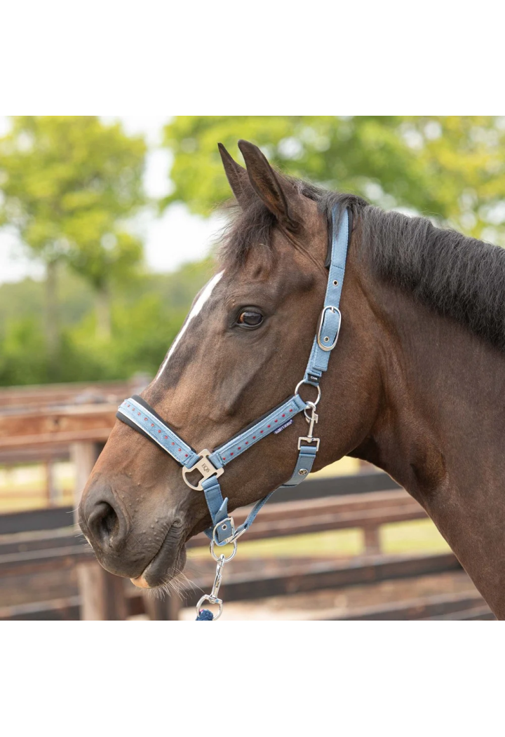 Kantar z uwiązem Harry's Horse Crystal 26SS