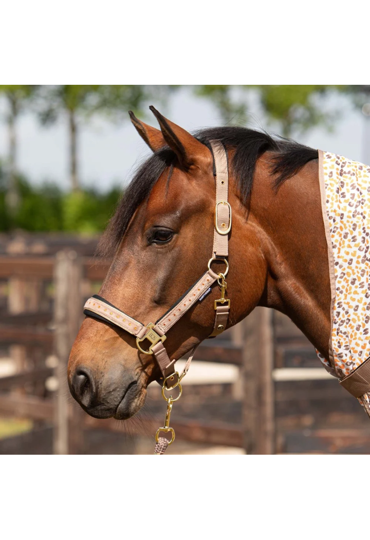 Cavezza lunghina Harry's Horse Crystal 26