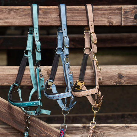 Headcollar lead rope Harry's Horse Crystal 26SS
