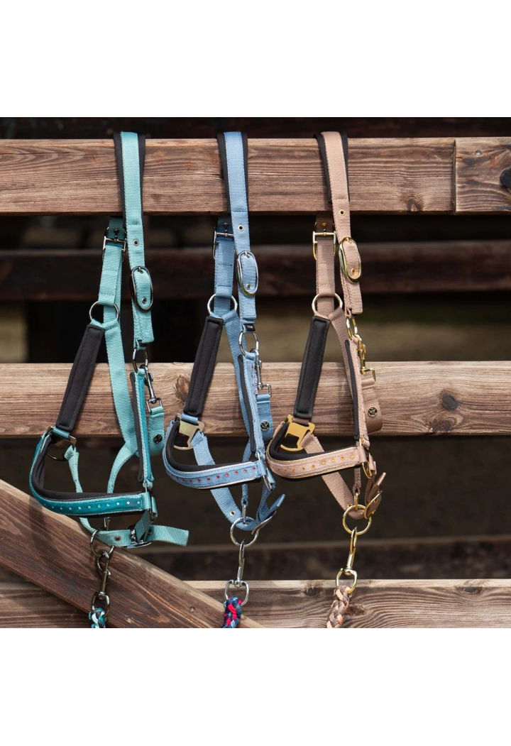 Căpăstru frânghie de condus Harry's Horse Crystal 26SS