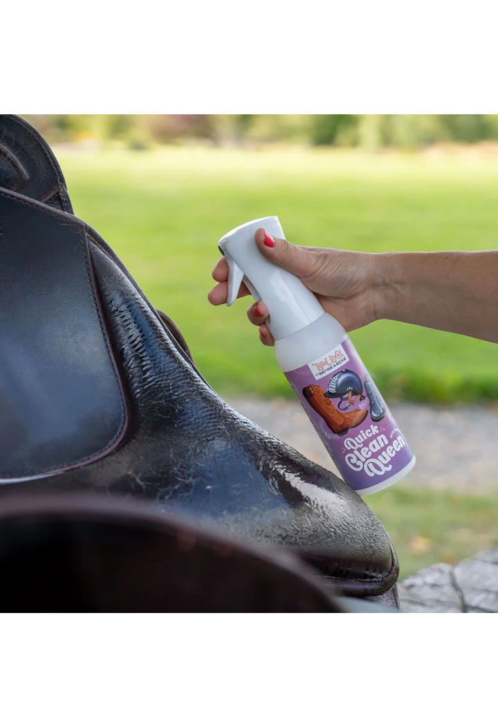 Reinigungspräparat Bense&Eicke Lilla Livet CleanQueen 500ml