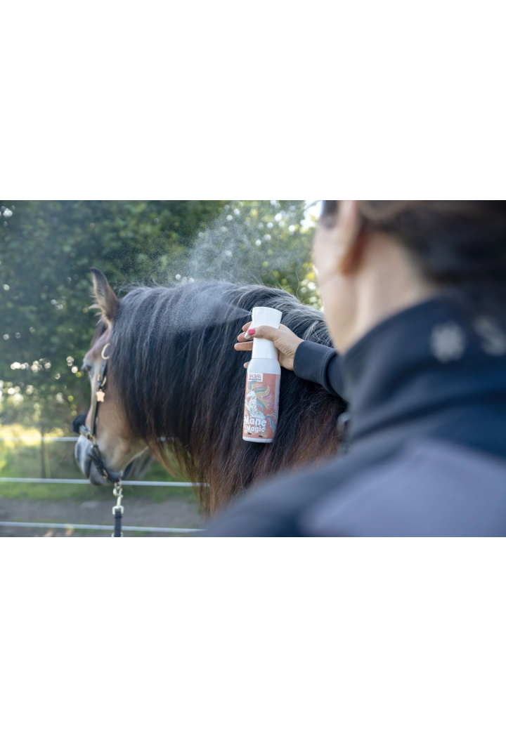Vlasový kondicionér Bense & Eicke Natural Mane Magic 500ml