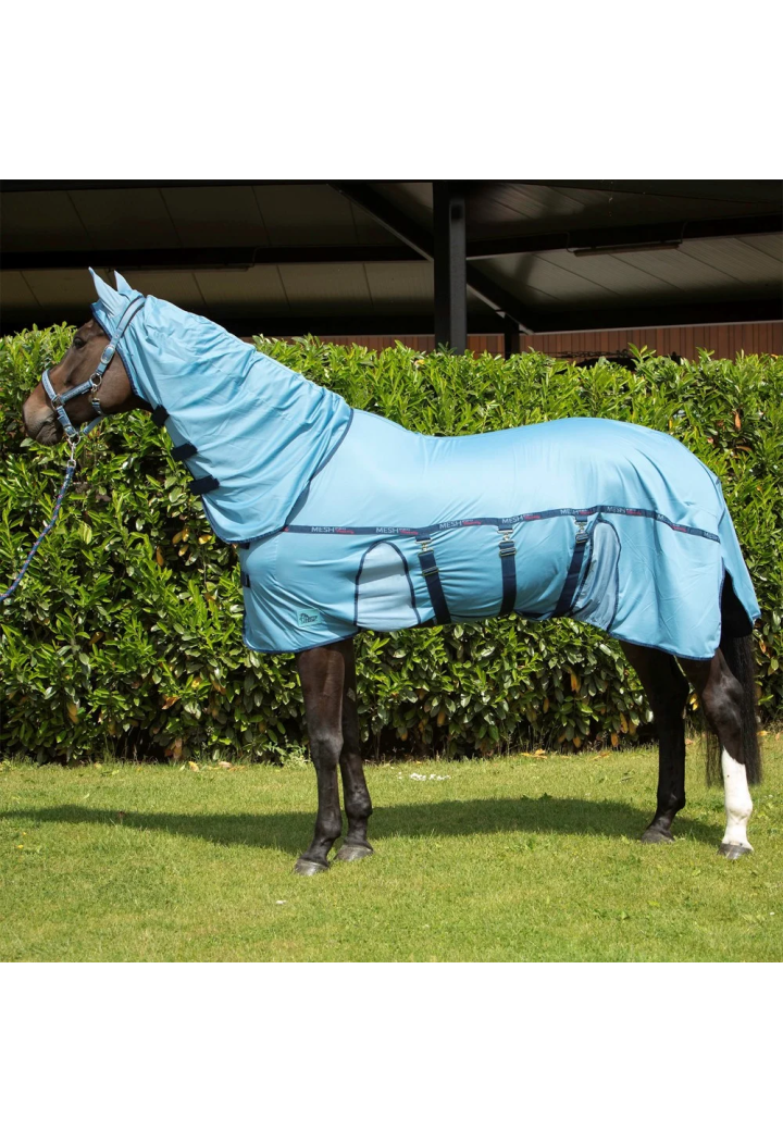 Derka siatkowa Harry's Horse MeshProBelly 26SS