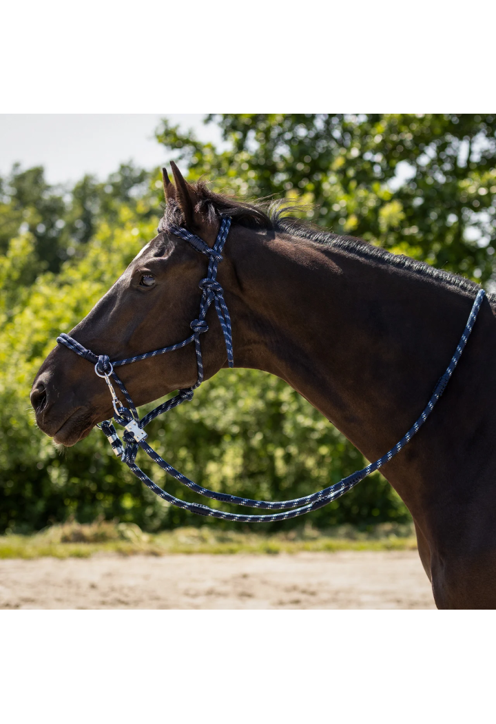 Headcollar string+ reins QHP Aubrey 26 SS m.bl/na CS