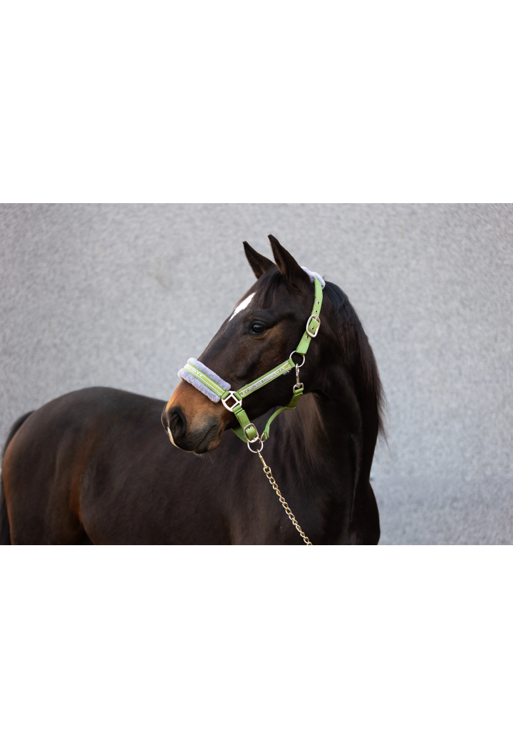 Headcollar START Elegance