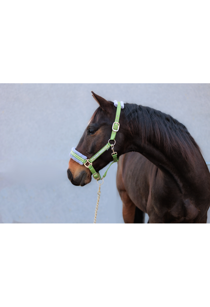 Ohlávka START Elegance