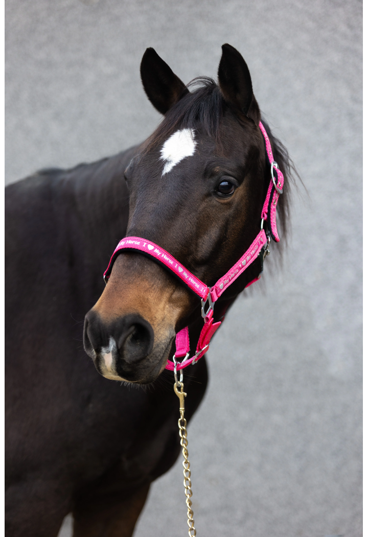 Halfter START ILoveMyHorse Wundipin