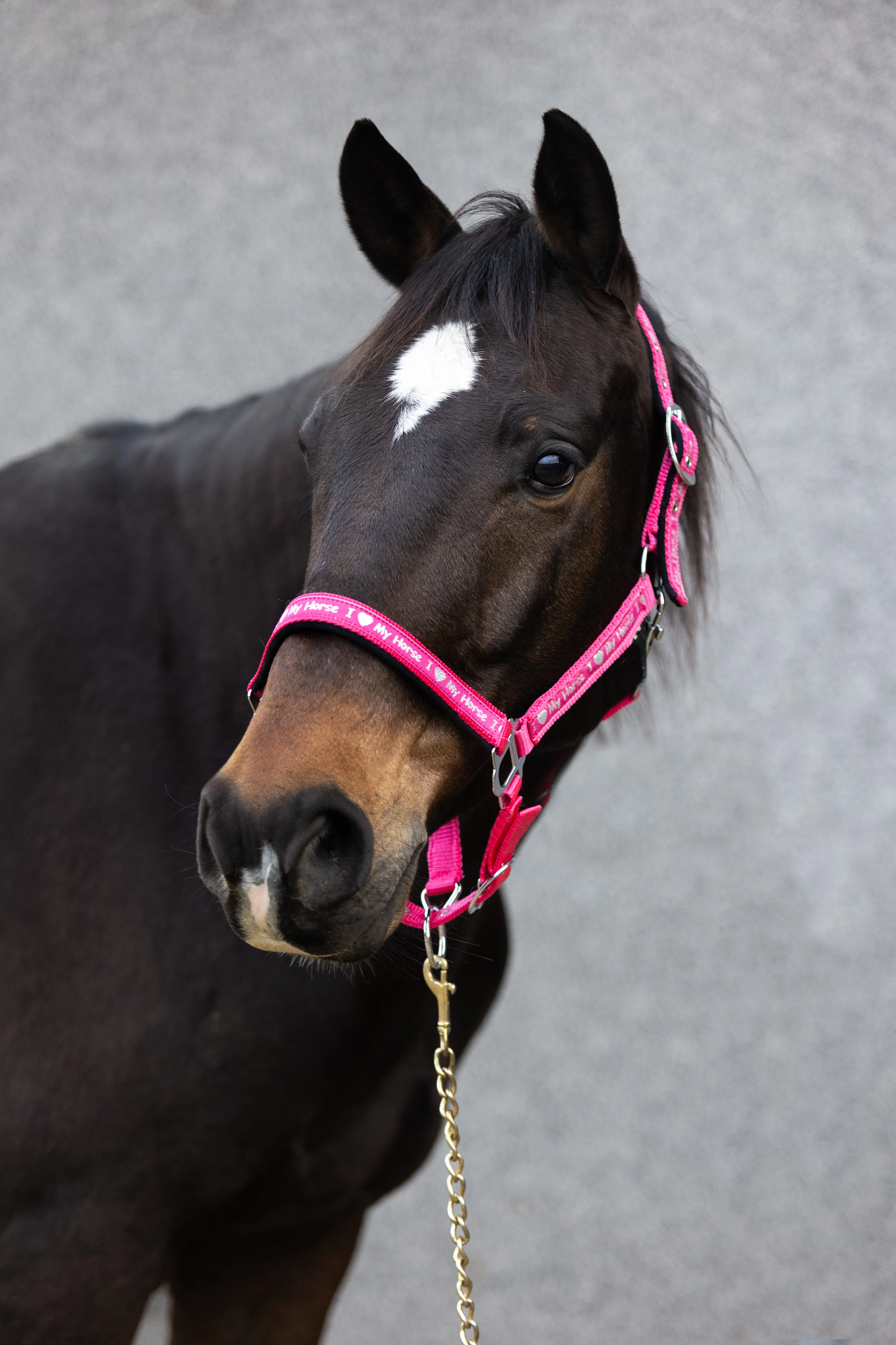 Căpăstru START ILoveMyHorse ranipink