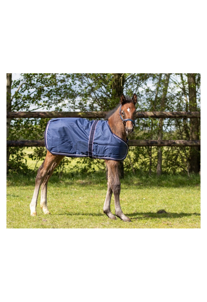 Deka pro koně foal QHP naplněný 100 gramem