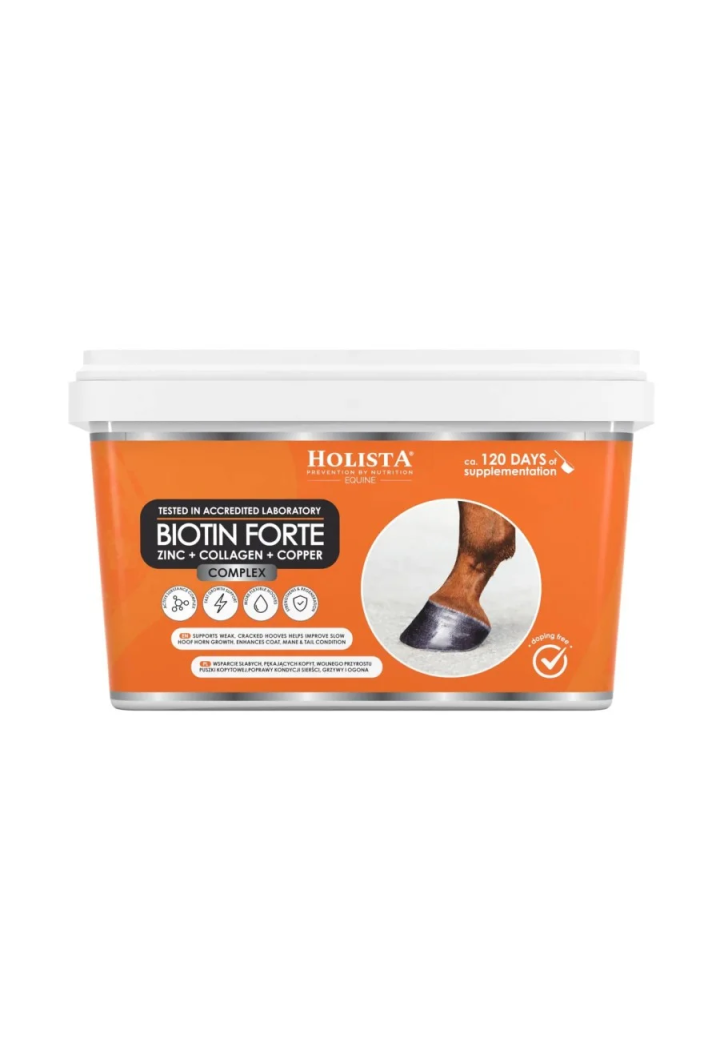 Biotin Forte Supplement HOLISTA 1800g